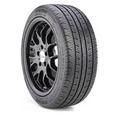 Quosuere vitae volutpat sit amet sapien tincidunt nislpla